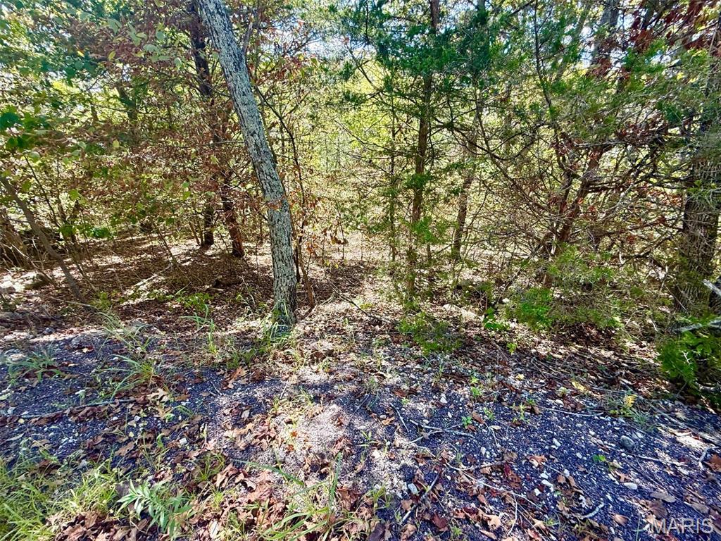 Lake Sherwood Estates - Land