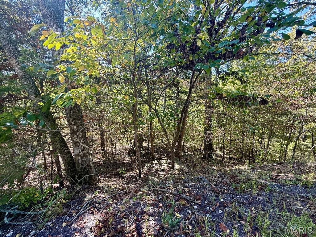 Lake Sherwood Estates - Land