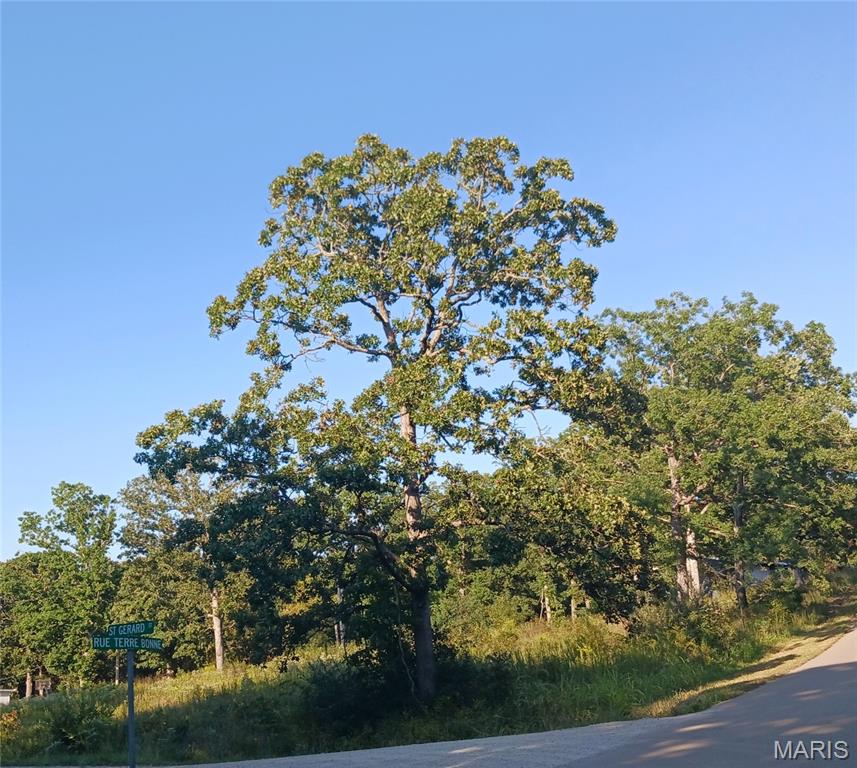 Wonderful building lot ready for you to build your dream home.