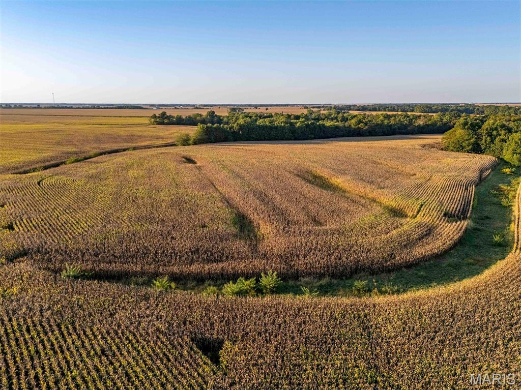 N/A - Farm