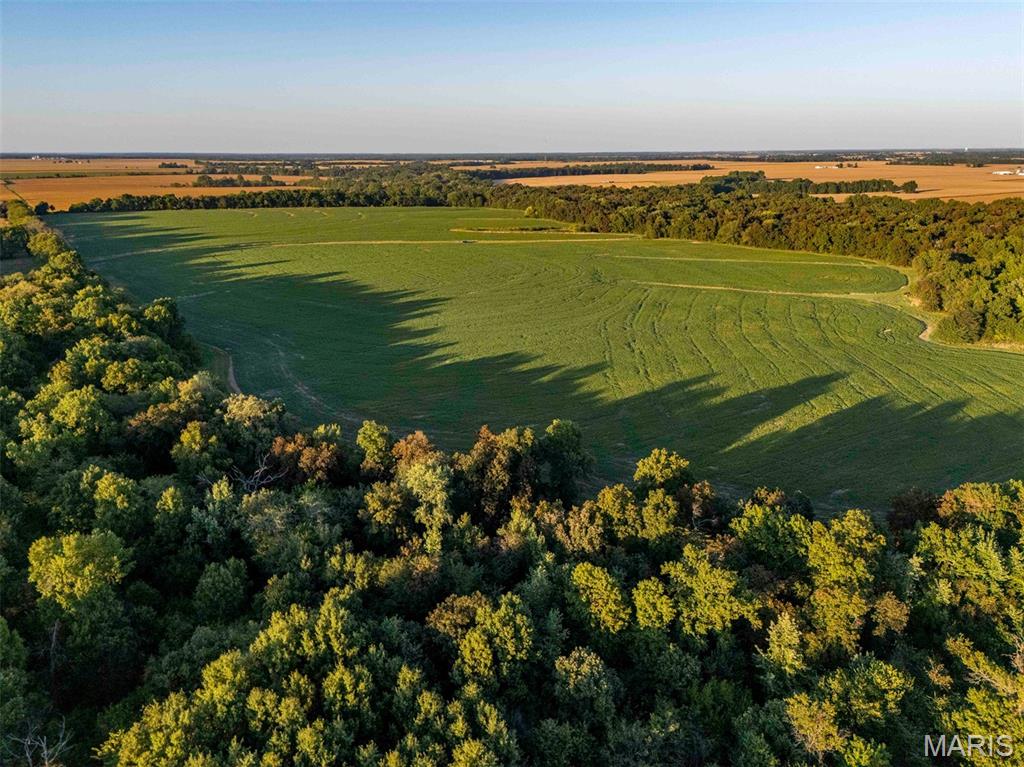 N/A - Farm