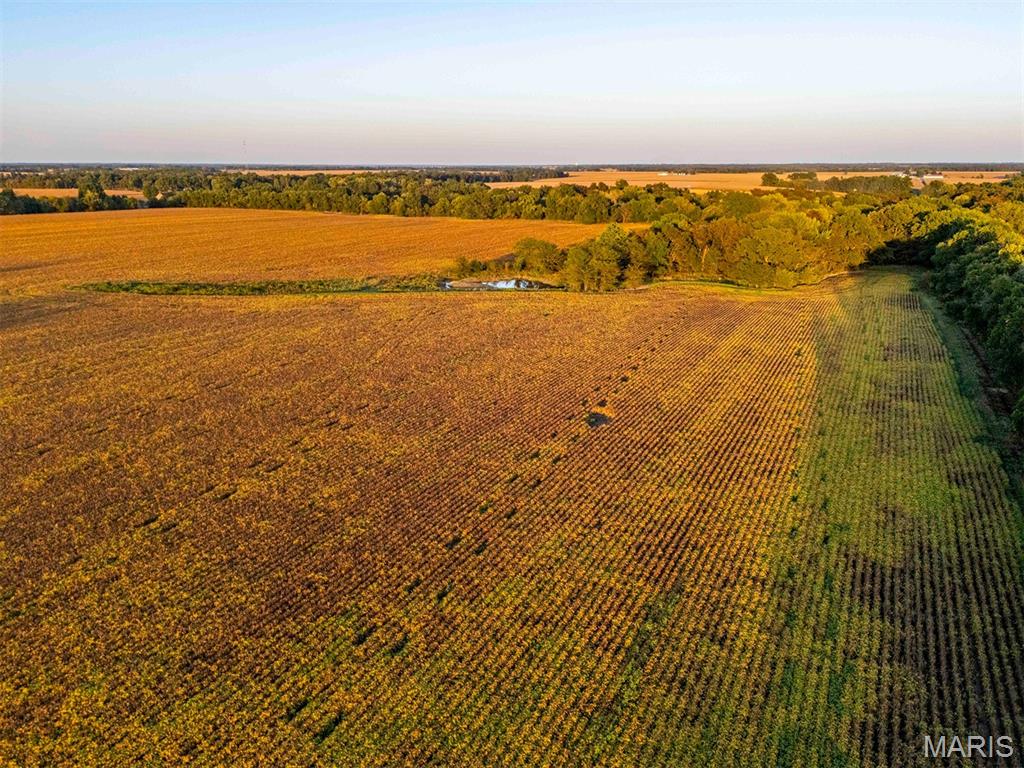 N/A - Farm