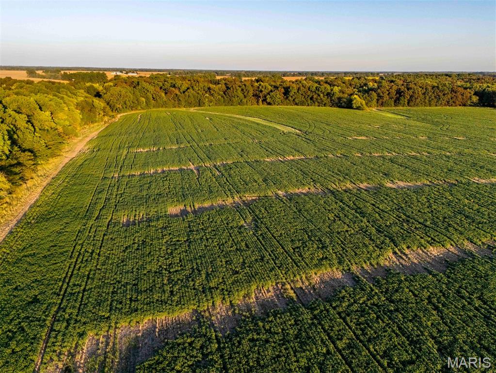 N/A - Farm