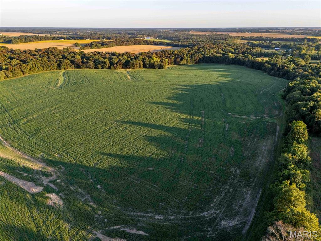 N/A - Farm