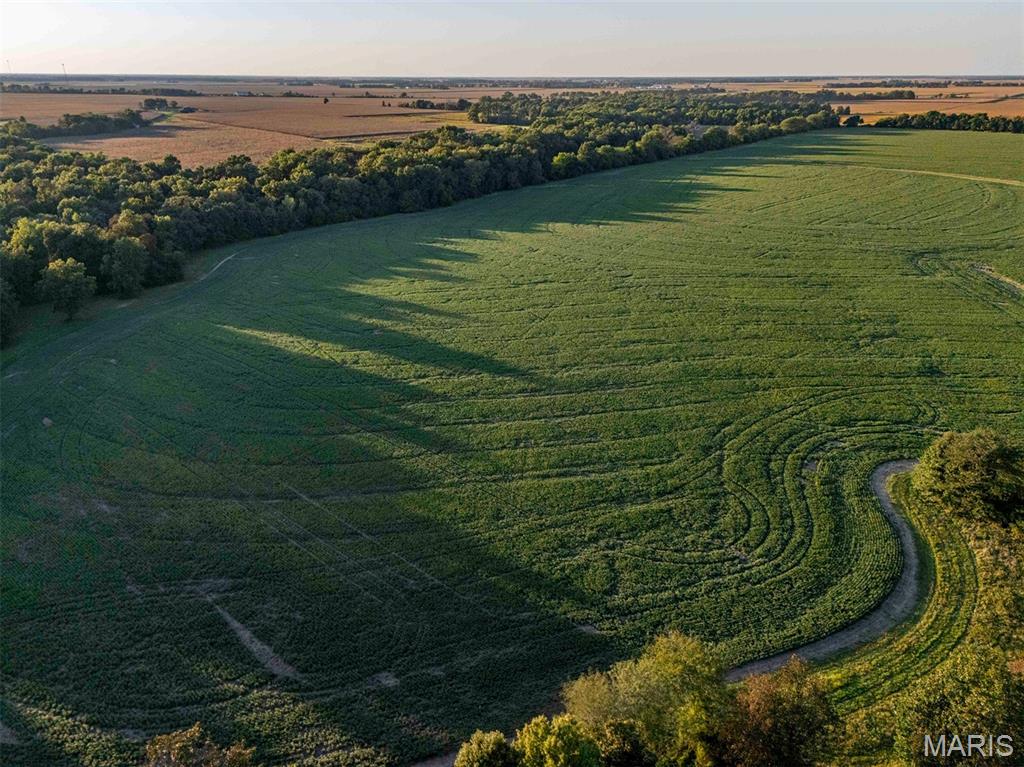 N/A - Farm
