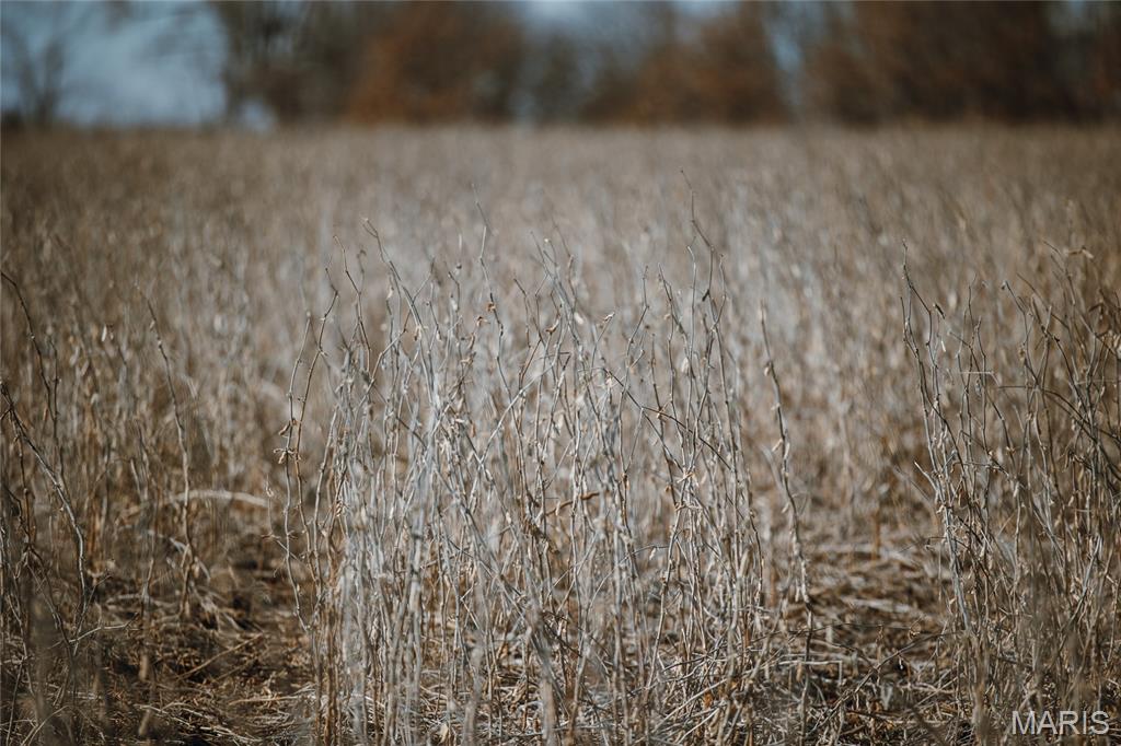 None - Farm