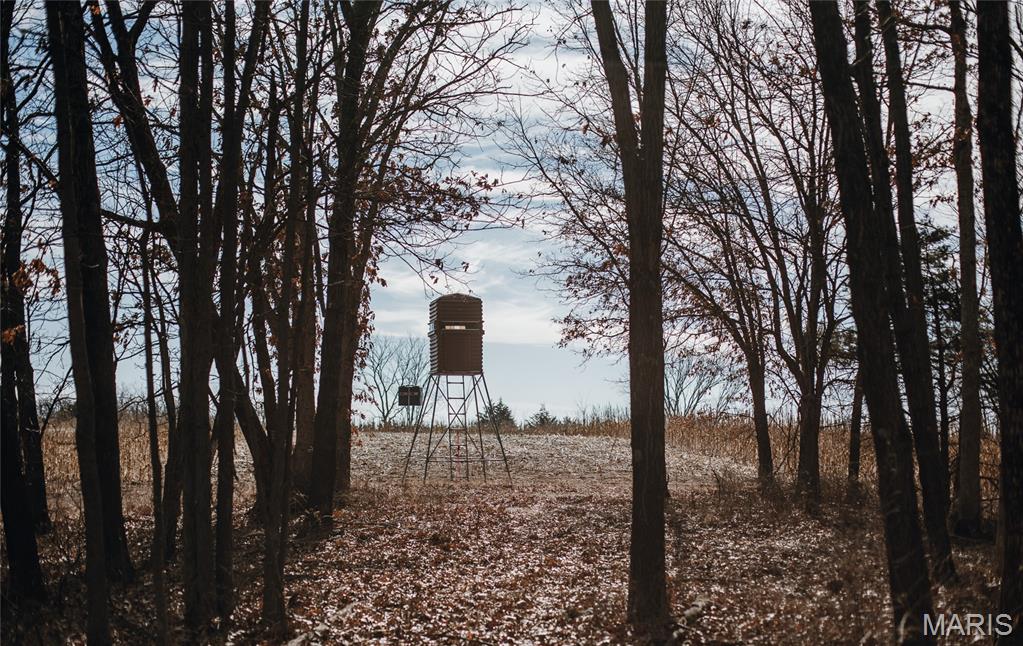 None - Farm