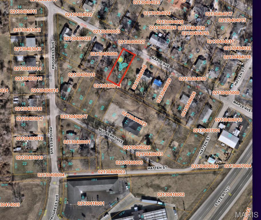 Check out this unique opportunity to purchase this 50x125' Village Owned surplus lot. All utilities are believed to be available at site, however please confirm before writing your AS-IS offer.  Offers will not be considered or accepted by Village until after July 9th, 2026.   Please check with village for all future use/permit requirements before submitting offer and confirm flood plain information with FEMA (https://msc.fema.gov/portal/search) before writing offer.  Call your favorite Realtor today..