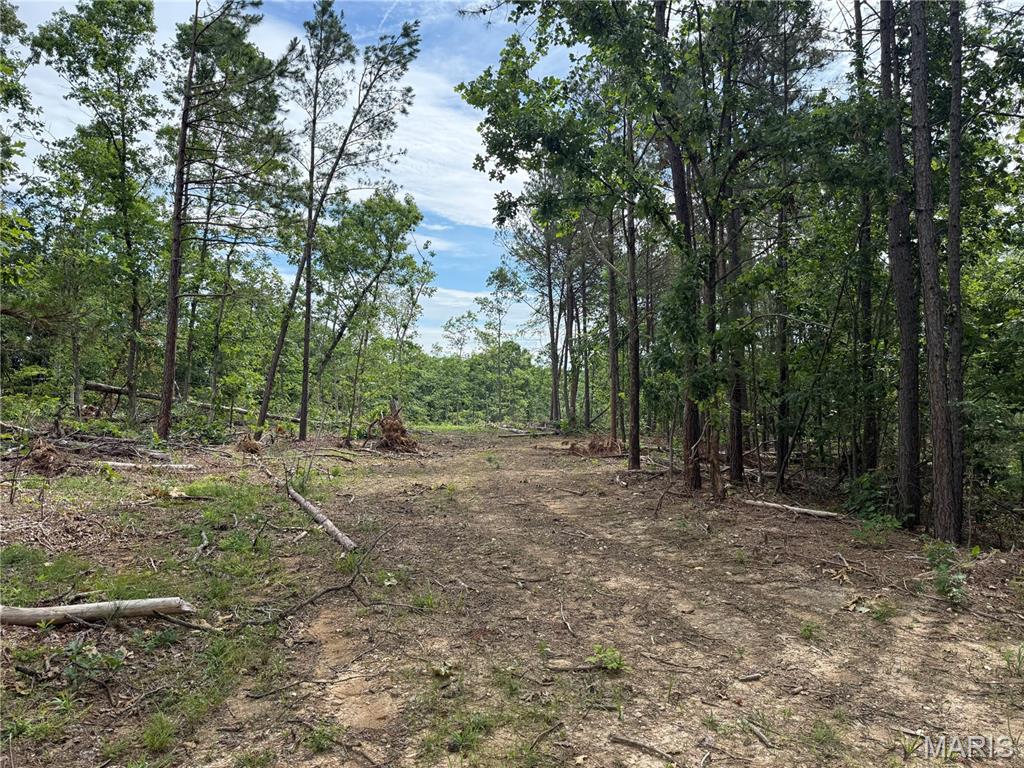 Hidden Valley 60. Private wooded tract with a good road system, several clearings, and a healthy stand of young pines. The property joins the National Forest and is located just over a mile from Crane Lake and the Ozark Trail. Great property for an off-grid recreational retreat!