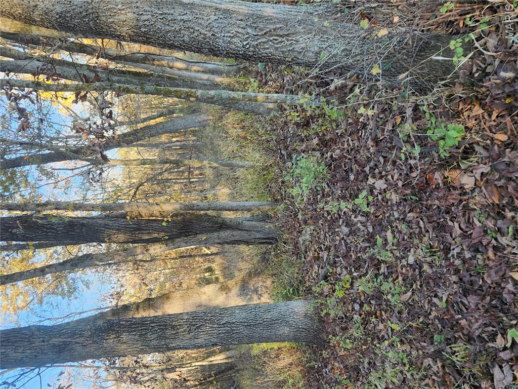 N/A, NA, None, 0 - Land