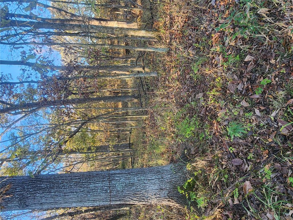 N/A, NA, None, 0 - Land