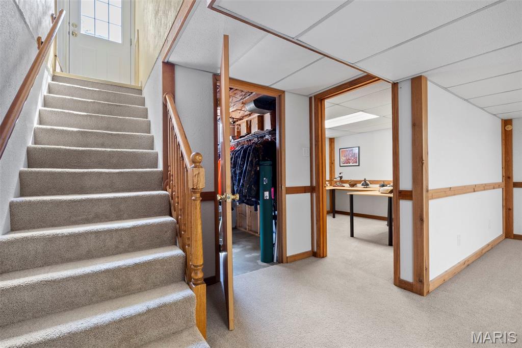 Woodlawn Terrace 4 - Residential