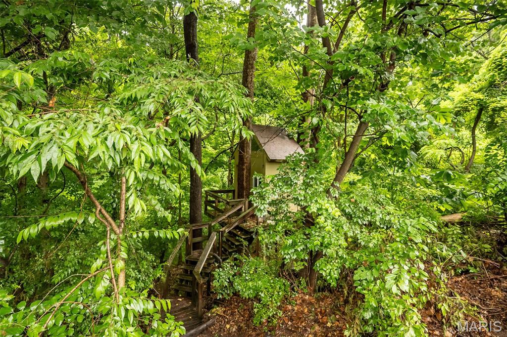 Ladue Park - Residential