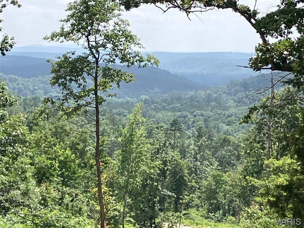 One of the best views in the Ozarks!! This 10 acres includes a deeded access road to the property and sits within about a mile of Mark Twain National Forest. 
This ridgetop oasis comes with NO restrictions, and can be had for less than the price of a new truck or SUV. 
Hunt, camp, build, ride ATVs on your own land, or fish or play in the shared creek section ... endless opportunities.
This property is wooded and rolling. You are within a mile of the 22,176-acre Mark Twain National Forest ... public ground where you can also hunt, ride and explore. All this, and only about 2 miles by road from U.S. 67.
Use this wooded, secluded property as a base camp for adventure or build your forever home and live out your days in secluded bliss. This and surrounding land is teeming with deer, turkey and small game, and the occasional feral hog or maybe a black bear.
There is additional acres available which adjoin this piece if interested.