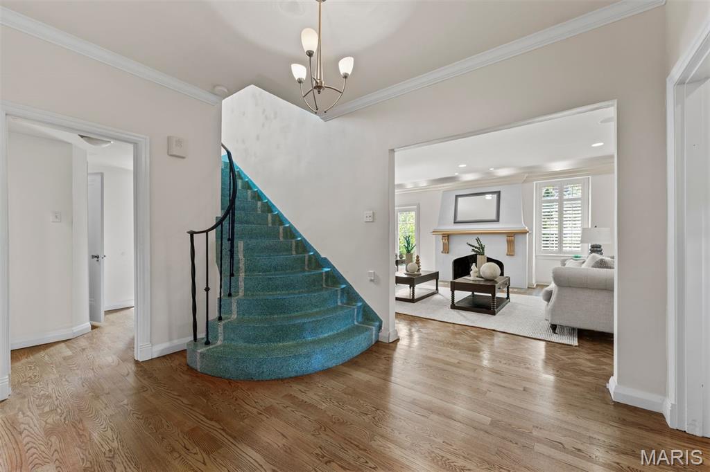 New Delmar Heights - Residential