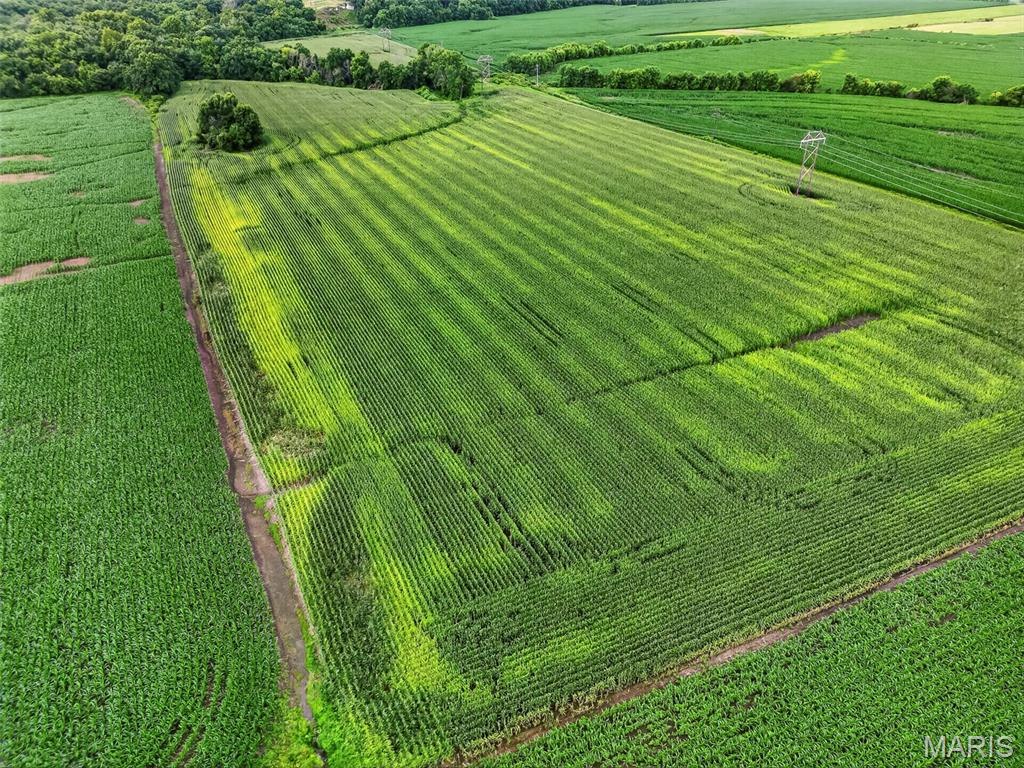 N/A - Farm