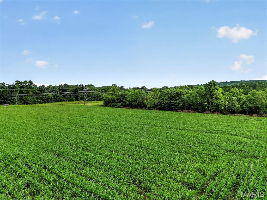 N/A - Farm