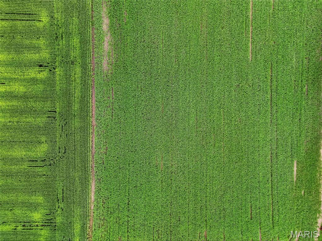 N/A - Farm