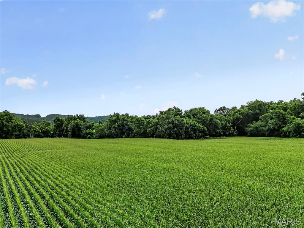N/A - Farm