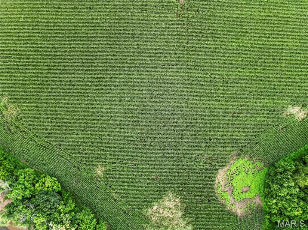 N/A - Farm