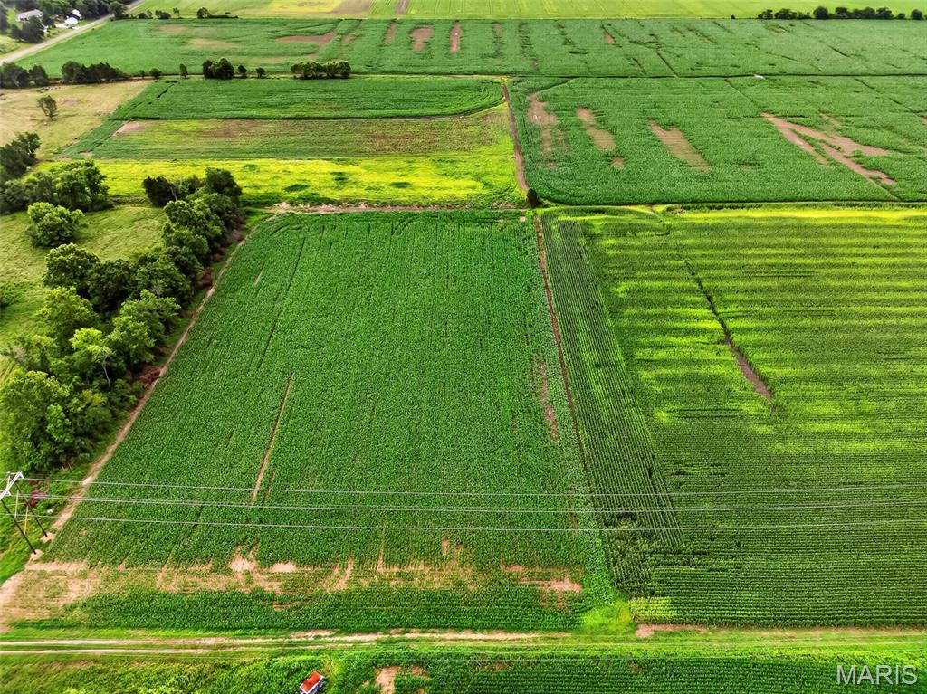 N/A - Farm