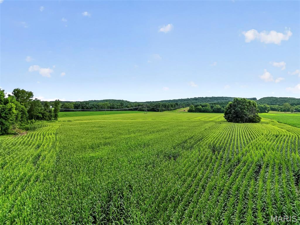 N/A - Farm