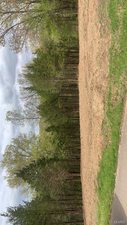Imagine morning coffee on your porch, surrounded by trees and quiet — but still close enough to grab Starbucks in 10 minutes. I mean what more could you ask for when it comes to location?
11524 Ten Point Lane in Festus gives you 4.1 acres of wooded privacy in Buck Creek Crossing — the perfect spot to build your dream home, backyard oasis, or just finally have some elbow room.
Peaceful, private, and ready for you.