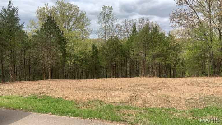 Imagine morning coffee on your porch, surrounded by trees and quiet — but still close enough to grab Starbucks in 10 minutes. I mean what more could you ask for when it comes to location?
11524 Ten Point Lane in Festus gives you 4.1 acres of wooded privacy in Buck Creek Crossing — the perfect spot to build your dream home, backyard oasis, or just finally have some elbow room.
Peaceful, private, and ready for you.