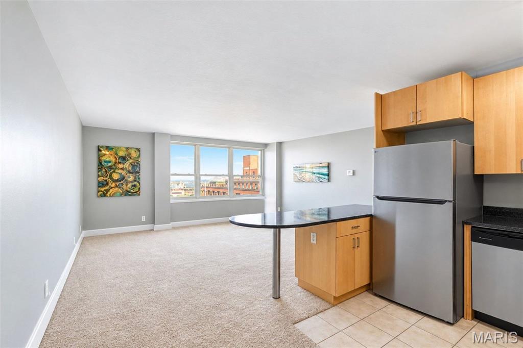 Blu Condos - Residential