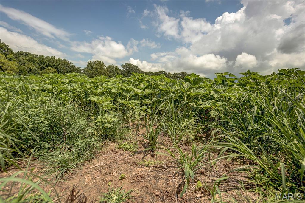 NA - Farm