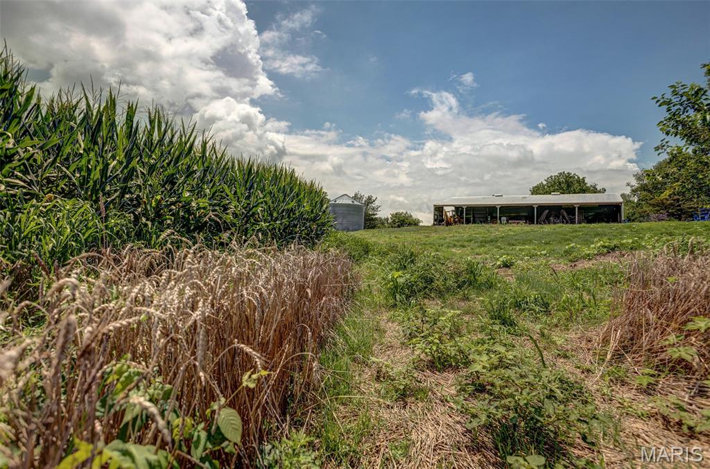 NA - Farm