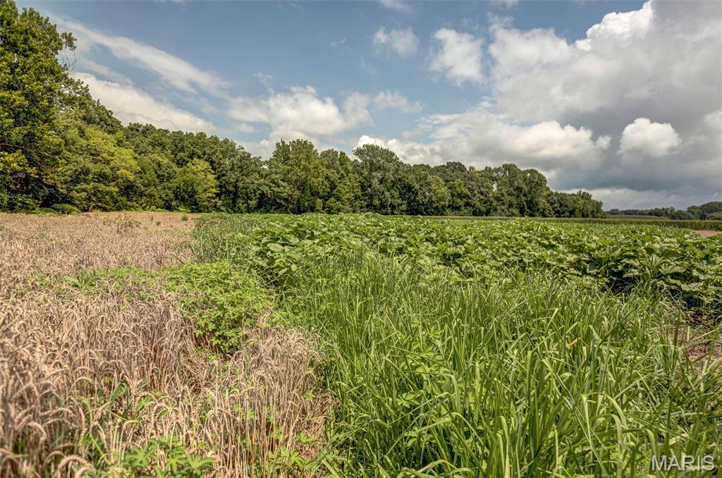 NA - Farm