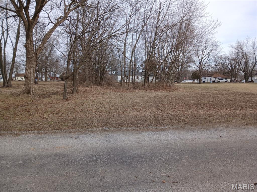 Rare opportunity to purchase three adjoining lots in New Douglas, IL! These continuous parcels provide flexibility for a spacious homesite, multiple builds, or future development potential. Enjoy the quiet charm of small-town living while still being within commuting distance to nearby amenities. Approximately 5 miles to Interstate #55 and just a 20-minute drive to Edwardsville.  Buy all three and create the space you’ve been looking for. Public utilities available nearby (buyer to verify).