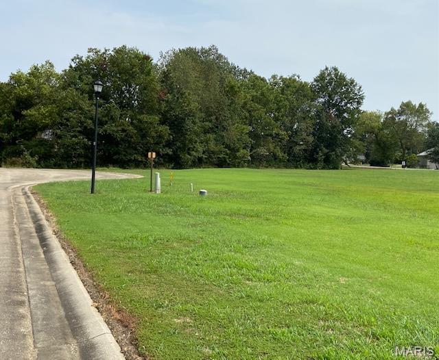 Looking to build in perfect location ? Timber Creek Subdivision has 9  lots  available to choose from. As you enter the Bricked entrance , you will notice how well this subdivision  is  maintained. It's quiet and close to Dexter schools ! City water and sewer, with Ameren electric lines underground and natural gas.  Plat map available. Additional Rooms: In Platted Subdv.