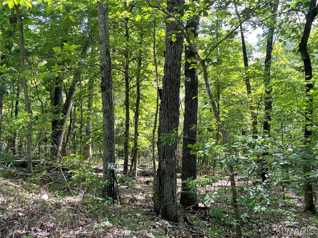 Anthonies Mill Resort - Land