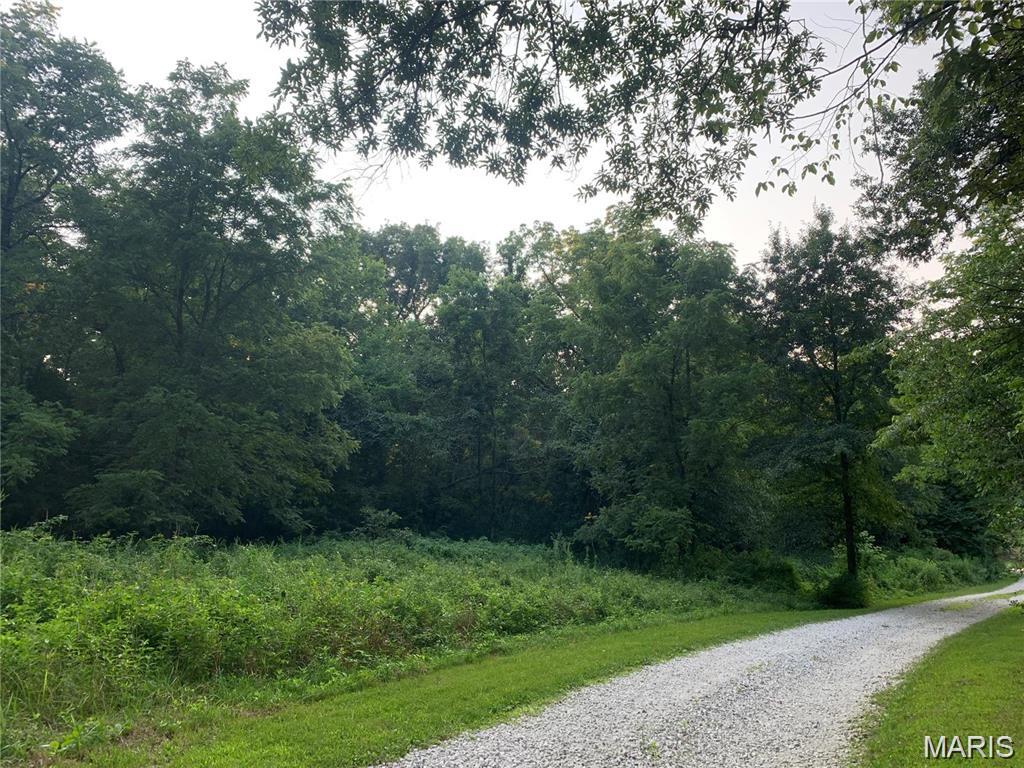 5 gorgeous acres with both woods and open ground. Gently rolling hills, half wooded and half open. Wildlife is abundant. Two small creeks runs through the property. Build your dream home on this private and secluded lot. The lot is named rather than numbered for Staghorn and this lot is called Turkey Hollow. The property boundaries start and stop at the realty signs. When you get to the bottom of the hill on Staghorn, to your left will be an open lot and the subject property is across the street to the right from that lot. The start of the lot is located between the two telephone poles. You will cross over one concrete culvert and when you see the second sign on the right, that is where the subject property ends. Lot ends shortly before you get to lot 490. If you cross over the second small creek you went too far. Look for realty sign on the right.