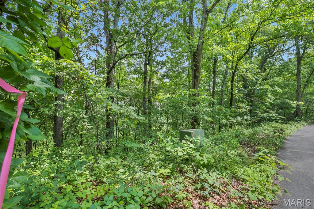 Words can't describe the beauty of this 8.5+ acres of ground with a view out of this world.  Large corner acres lot with over 1115' of road frontage. If your desire is tall mature trees you've found your home.  This area features large acreage lots with custom homes.   Bring your side by side or golf cart, or take a leisurely walk in the 2+ miles of roads throughout the neighborhood.  Minimum square footage is 2500 on main level for a ranch style home, three car side entry garage is required.  Lot may not be subdivided to keep the number of homes to a minimum on this 300+ acre neighborhood.  Protect your home value and build your dream home today.  Bring your own builder or inquire for pricing for your plan.