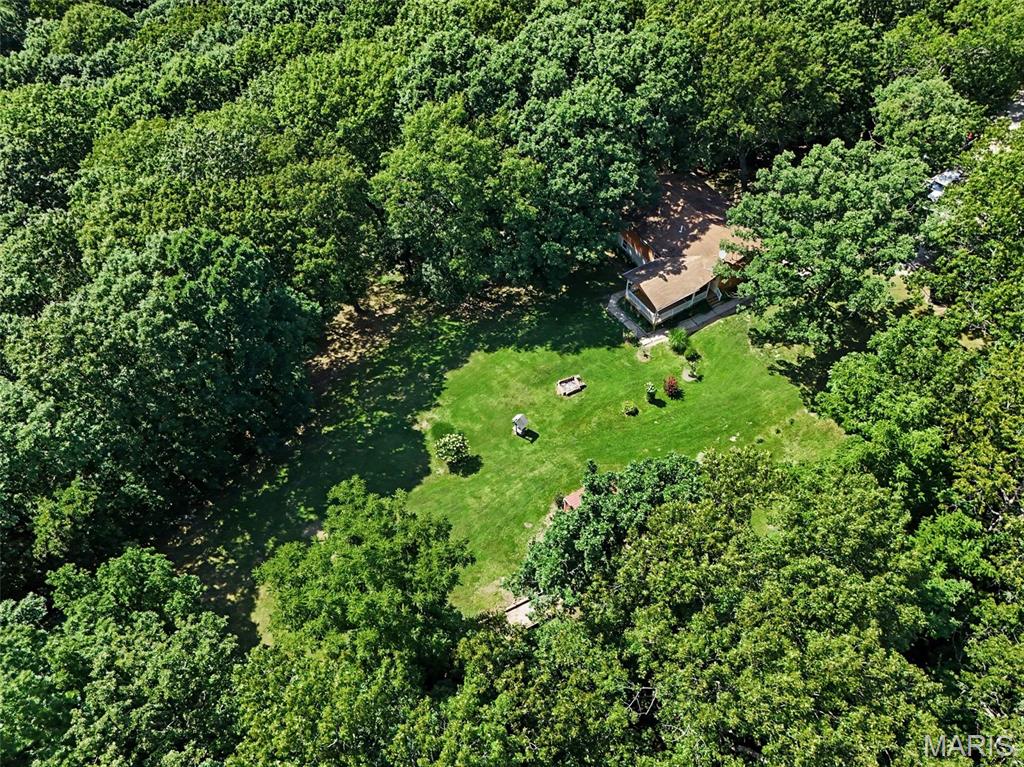 Oak Tree - Residential