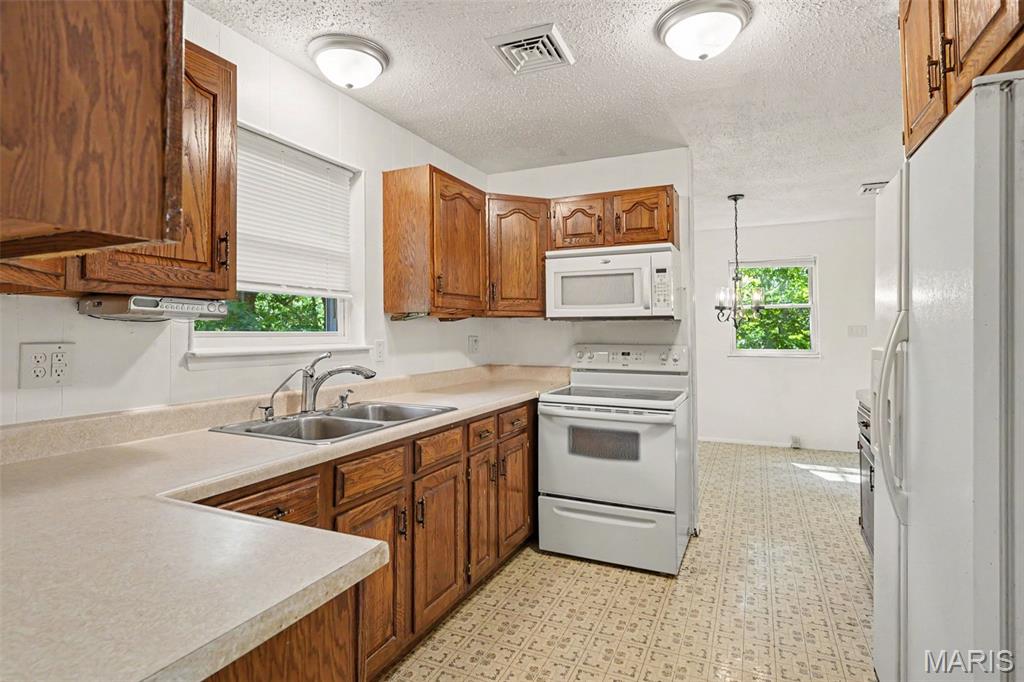 Oak Tree - Residential