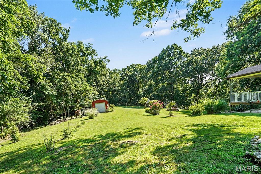 Oak Tree - Residential