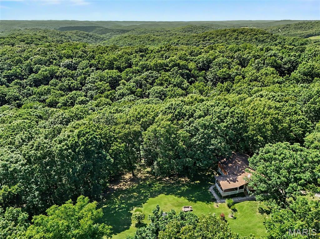 Oak Tree - Residential