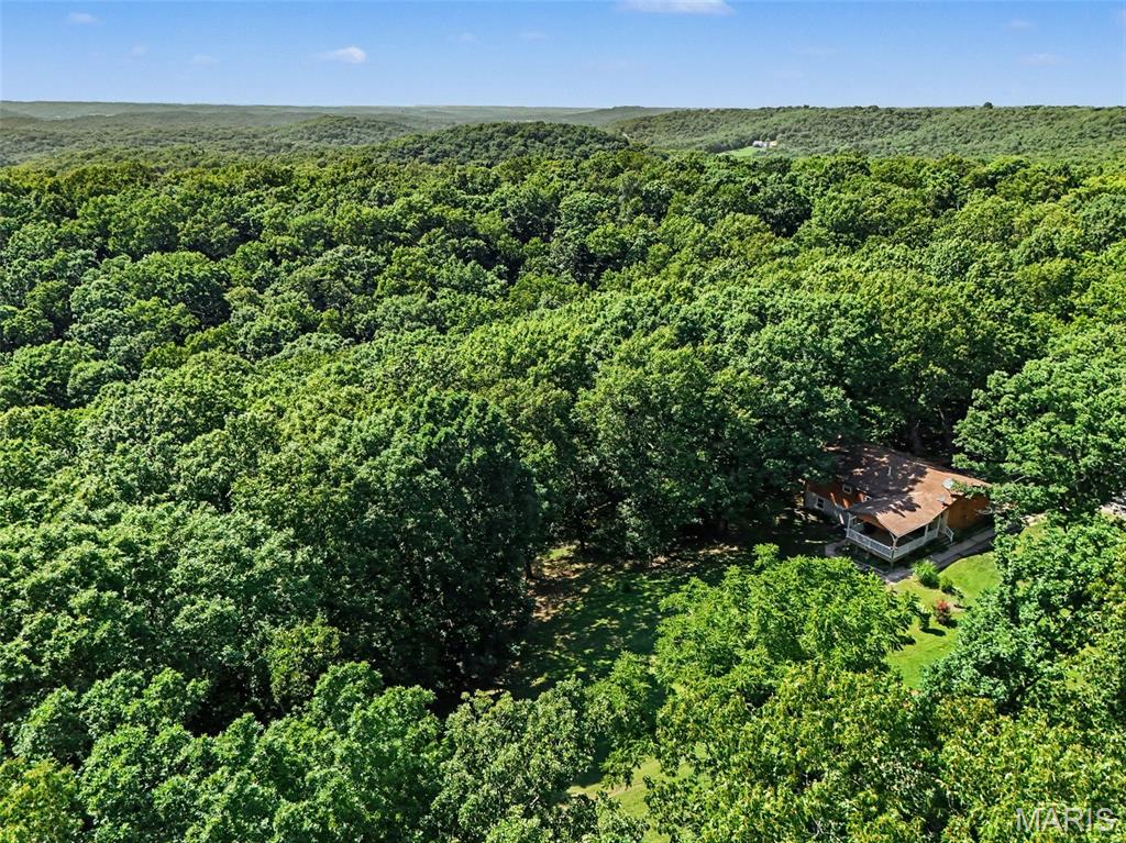 Oak Tree - Residential