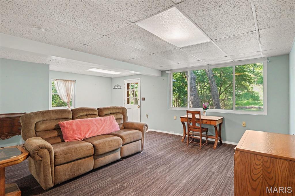 Oak Tree - Residential