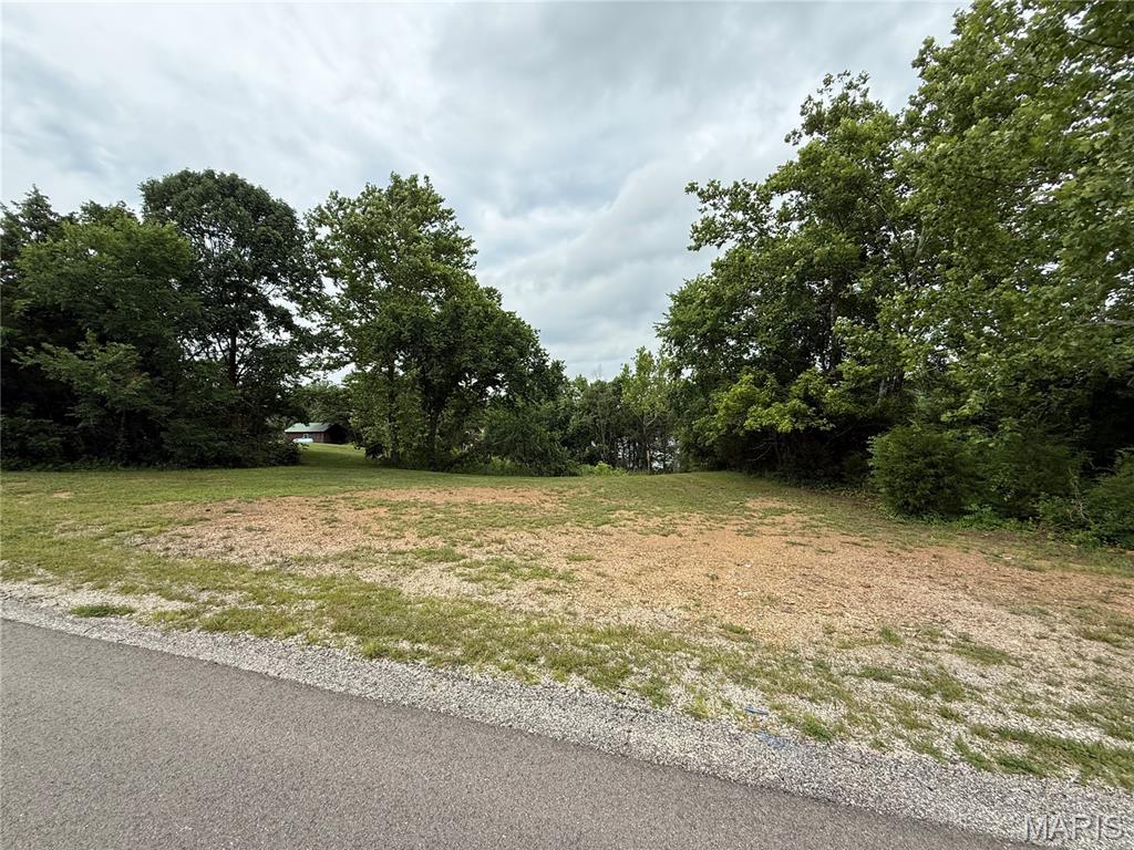 Cleared, level, and ready to utilize. This small piece of property has lots of possibilities, from parking your camper to the perfect Airbnb location.  If offers electric close by, county water available, and a view of lake harmony. However, it is not a part of any HOA or lake community so there are so restrictions. Priced to sell!