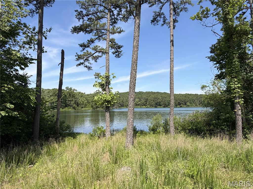 Escape to your own lakefront retreat on 8.99 acres! This beautiful property features lake frontage, an established front and back yard, driveway,  a basement foundation with a concrete vault room and a full walk out to the back yard that leads to the lake, private well, and a septic system already in installed. Whether you're looking to build your dream home, create a weekend getaway, or invest in waterfront land, this property offers the perfect blend of space and natural beauty.  Hard to find these type of properties with a huge jumpstart already in place!
