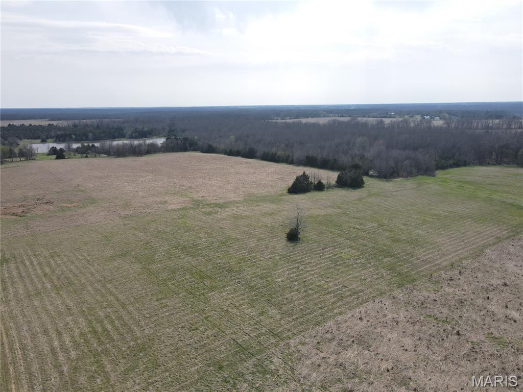 Incredible opportunity to own **20± acres in one of the most desirable Route N locations**, just 5 minutes south of Monroe City and perfectly positioned on the Indian Creek side of Mark Twain Lake! Whether you are looking for a recreational getaway, hunting tract, investment property, future homesite, or lake-area escape, this property checks all the boxes.

The land is mostly flat with a touch of gentle slope, offering a beautiful blend of open acreage and woods. Approximately 5 acres are tillable and currently in CRP, with the balance in wooded cover that attracts abundant wildlife, including whitetail deer and turkey. With an NCCPI of 61.3 and Armstrong soil type, this tract offers strong land value in a highly sought-after area.

Enjoy hard-surface road frontage along the east side, with rural water at the road, plus electric and fiber available. A small amount of wetland off an inland lake adds natural character and wildlife appeal. Route N Boat Ramp is just minutes away, and Indian Creek Marina is within approximately 15 minutes, making lake access quick and convenient. The property is surrounded by open fields and wooded acreages and backs to open ground, creating the perfect mix of privacy, scenery, and accessibility.

Located in the Monroe City School District. A rare Route N acreage like this does not come along often!