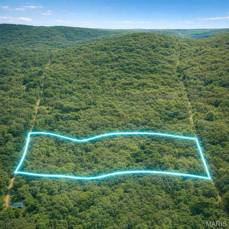 10.04-acre wooded recreational parcel — Lot 5, Section 11, Township 27N Range 8W, Howell County, Missouri (GPS 37.0333, -91.7980). Not landlocked — access is via Private Road 3424 off Highway NN; the road is overgrown due to low local traffic, so a 4×4 is required. Look for the county's original 5-foot-tall "Four Section Marker" at the section corner — it sits in the middle of the road path and is the reference point to Lot 5. A recorded boundary survey by Norsworthy & Associates (Job 09024, 8/14/09) is available on request. Wooded with elevation change (1,183–1,249 ft, ~13% avg slope) — ideal for hunting, camping, an off-grid cabin, or a raw-land hold. Property tax only ~$46/yr, no HOA, no known restrictions. Cash preferred, quick close. Buyer to verify recorded easement to Lot 5 prior to closing. Reach Donna Barber for questions.
