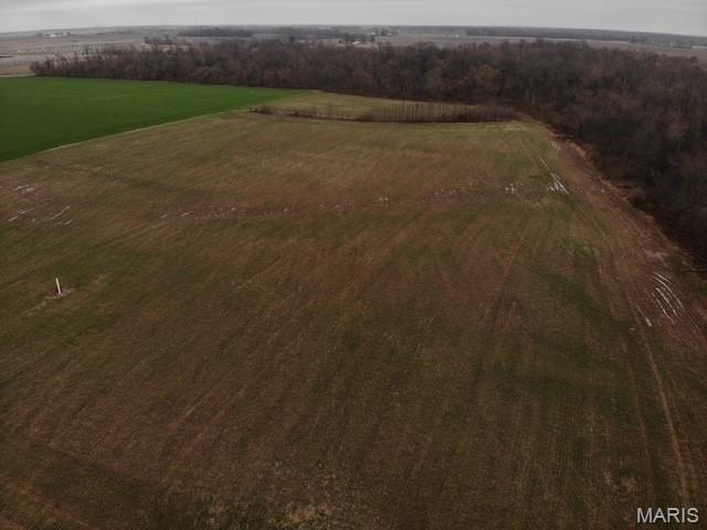 Auction ends on 04/09/2026. 

Please go to the auction site to place bid via this online auction.
The property does have a legal easement off of Felton Road.
Call for more details on crop yields, soil maps, topo maps, etc.