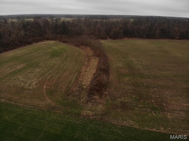 Meridian Township - Farm