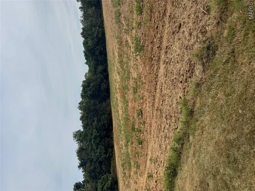 country - Farm